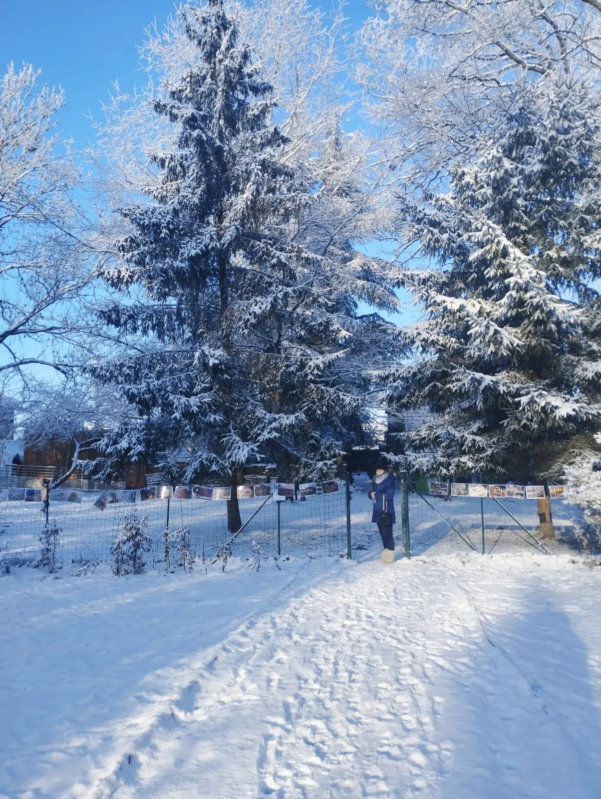 Le parc de l'école sous la neige